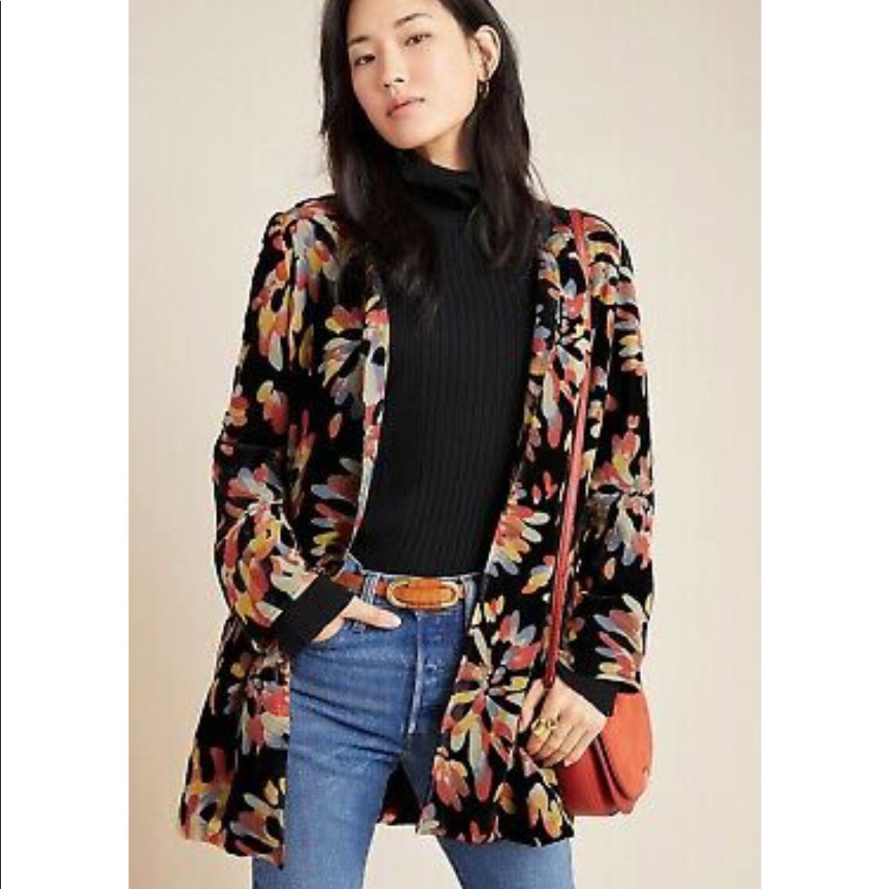 Eva Franco Fireworks Burnout Velvet Large NWT